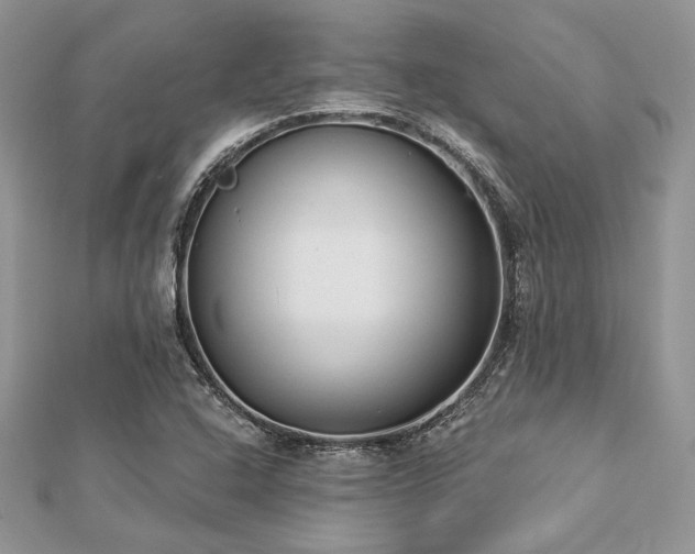 X0000112821408200908211156