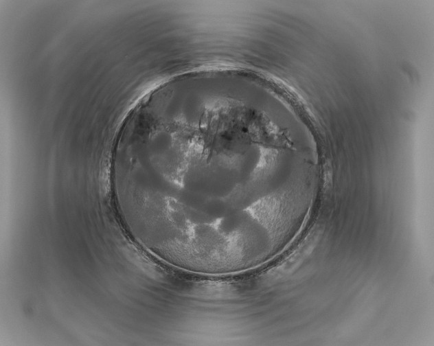 X0000112821409200908211156