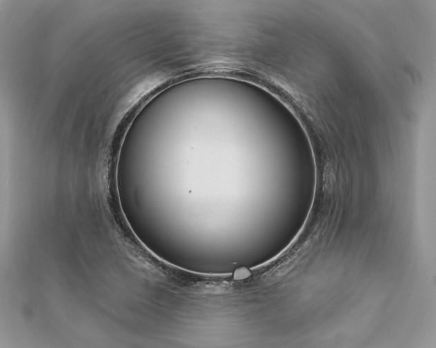 X0000112821410200908211156