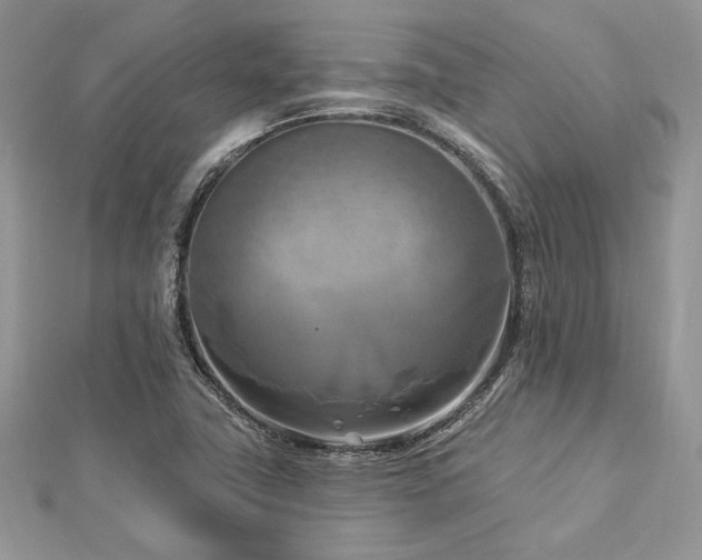 X0000112821411200908211156