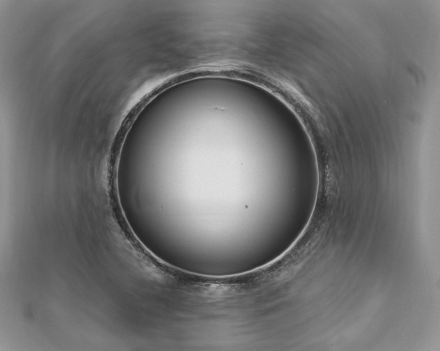 X0000112821412200908211156