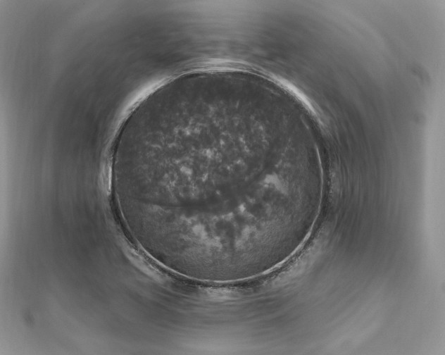 X0000112821413200908211156