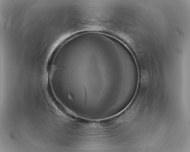 X0000112821414200908211156