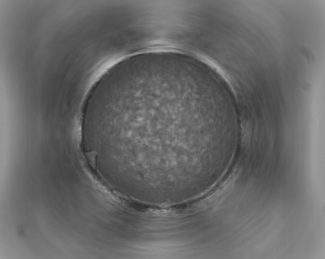 X0000112821415200908211156