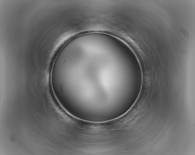 X0000112821416200908211156