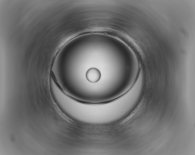 X0000112821417200908211156