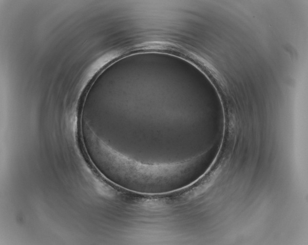 X0000112821418200908211156