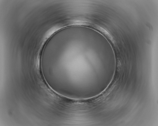 X0000112821419200908211156