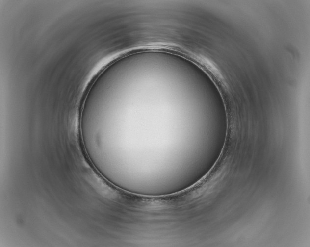 X0000112821420200908211156