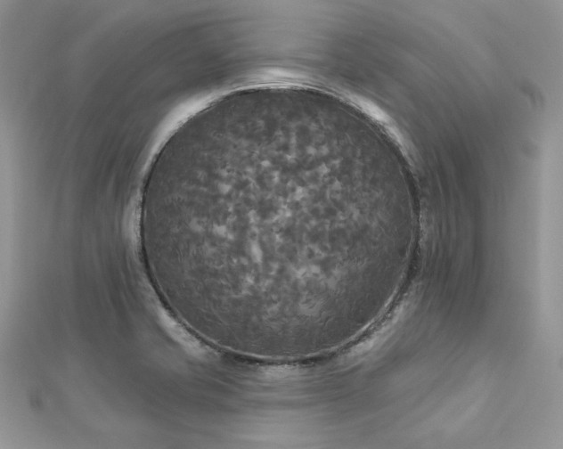 X0000112821421200908211156