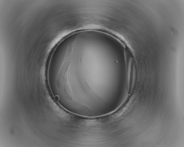 X0000112821422200908211156