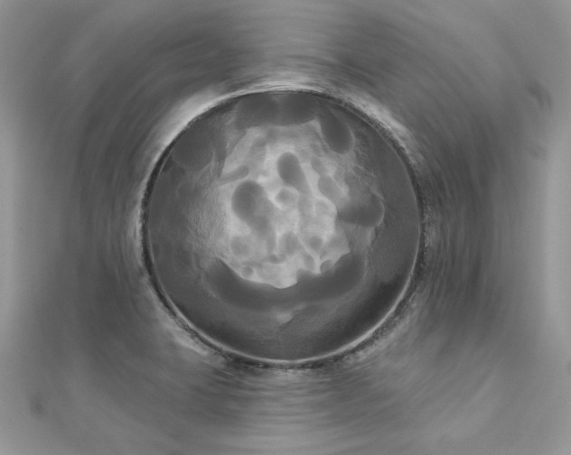X0000112821423200908211156