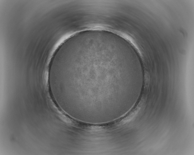 X0000112821424200908211156