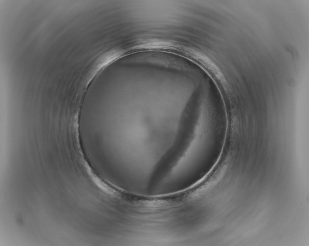 X0000112821425200908211156
