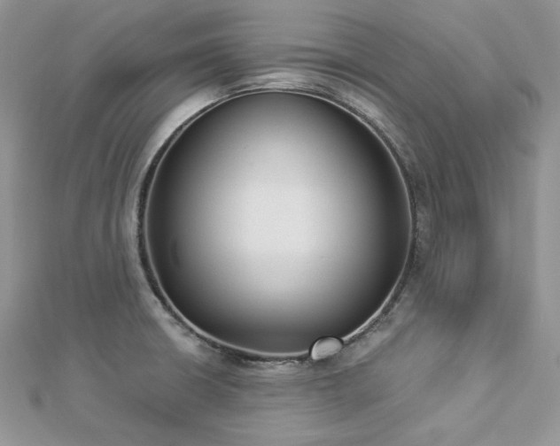 X0000112821426200908211156