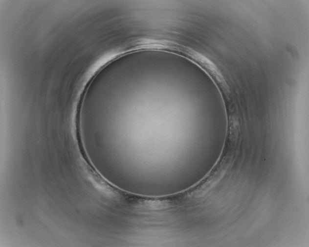 X0000112821427200908211156