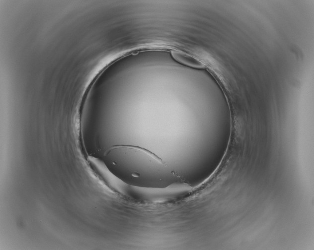X0000112821428200908211156