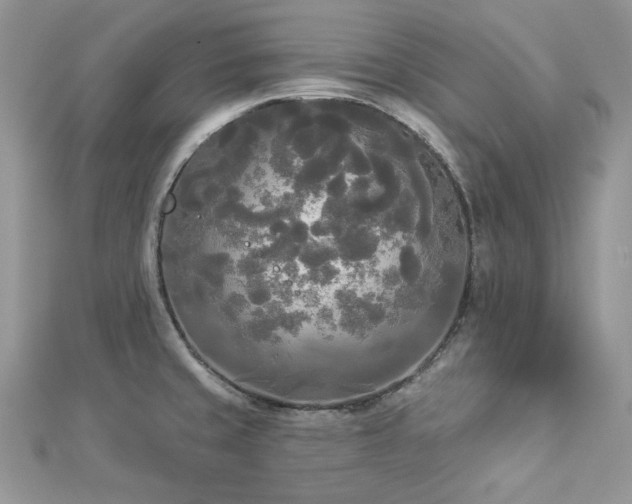 X0000112821429200908211156