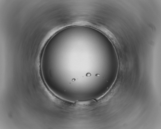 X0000112821430200908211156