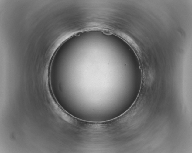 X0000112821431200908211156