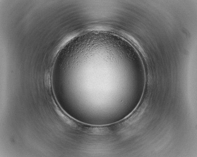 X0000112821433200908211156