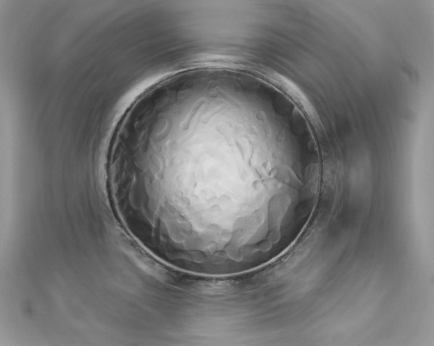 X0000112821435200908211156