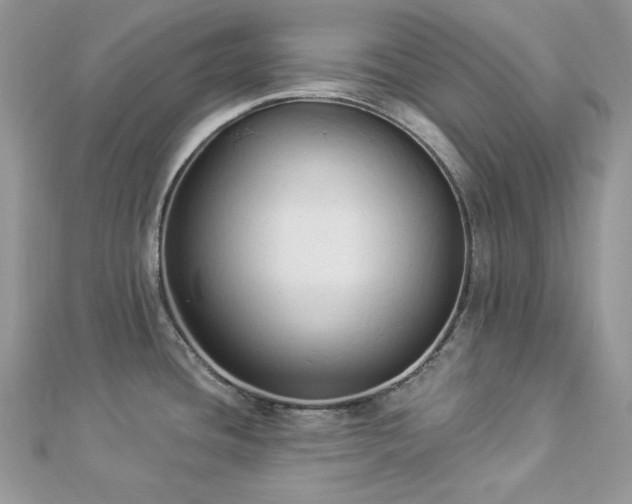 X0000112821436200908211156