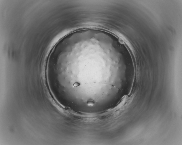 X0000112821437200908211156