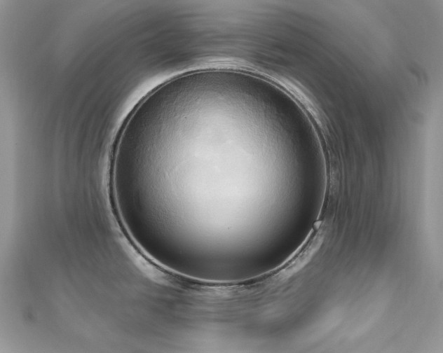 X0000112821438200908211156