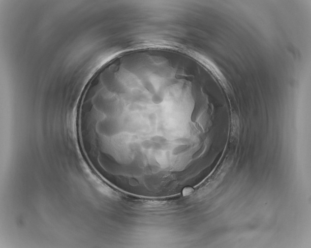 X0000112821439200908211156