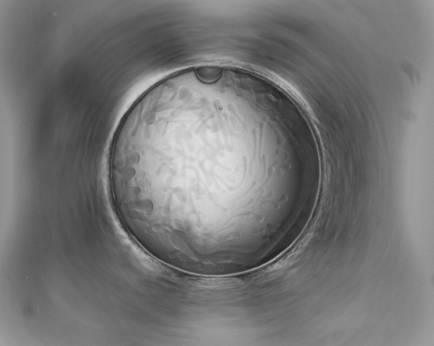 X0000112821440200908211156