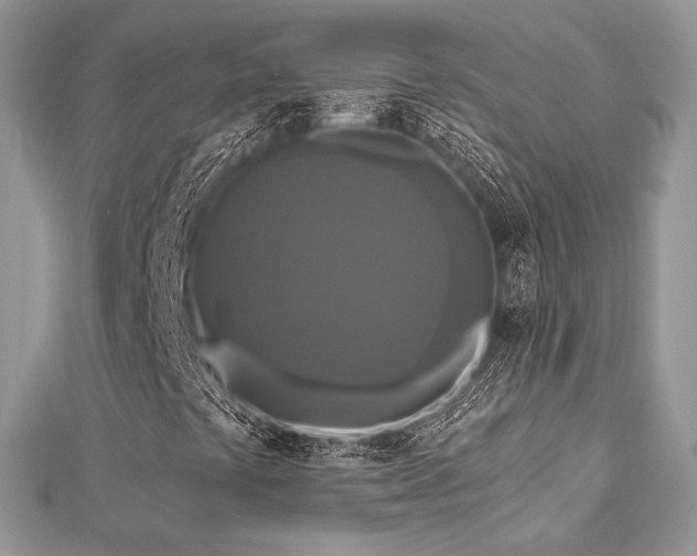 X0000112821441200908211156
