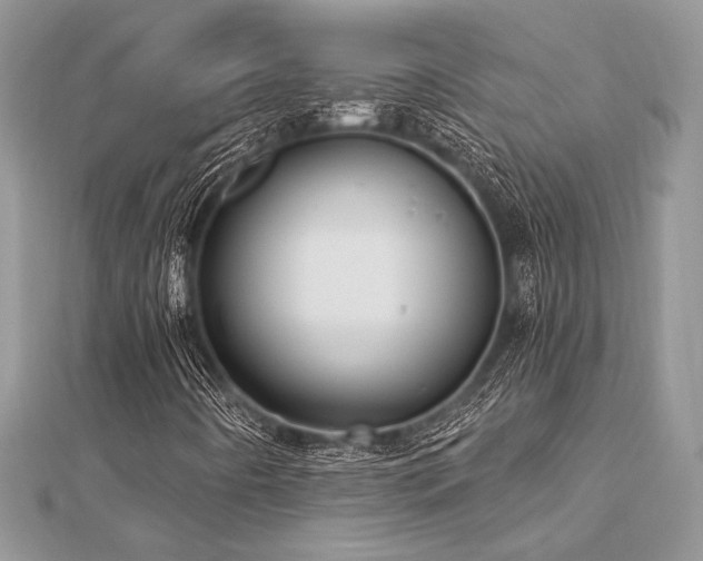 X0000112821442200908211156