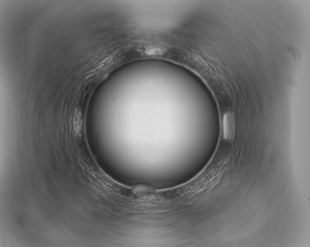 X0000112821443200908211156
