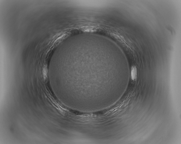 X0000112821444200908211156