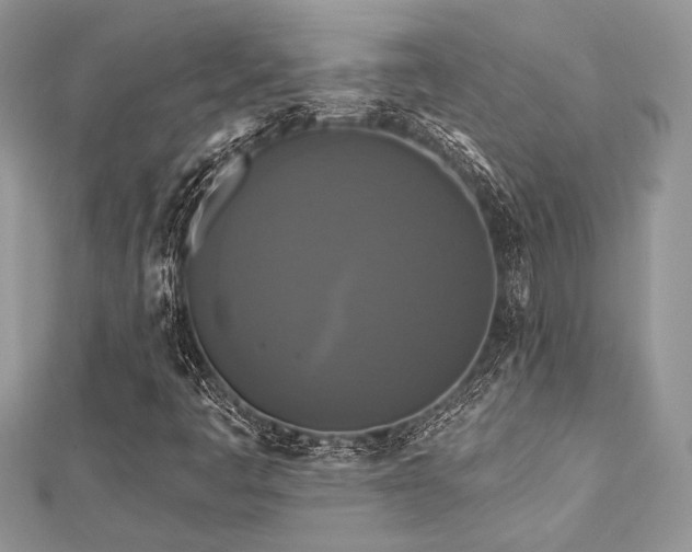 X0000112821445200908211156
