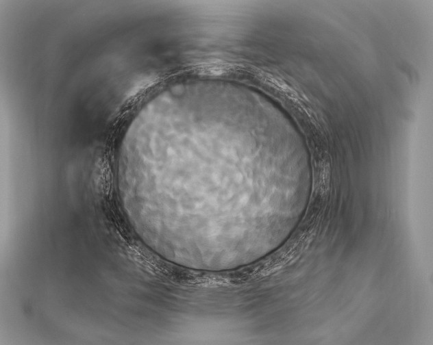 X0000112821446200908211156