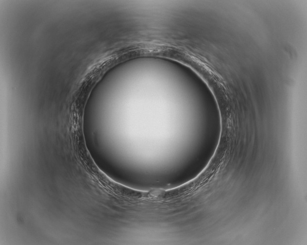 X0000112821447200908211156