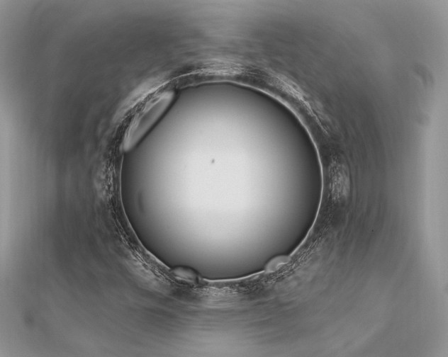 X0000112821448200908211156