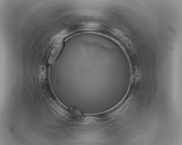 X0000112821449200908211156