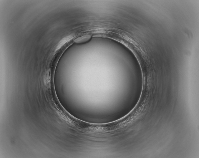 X0000112821450200908211156