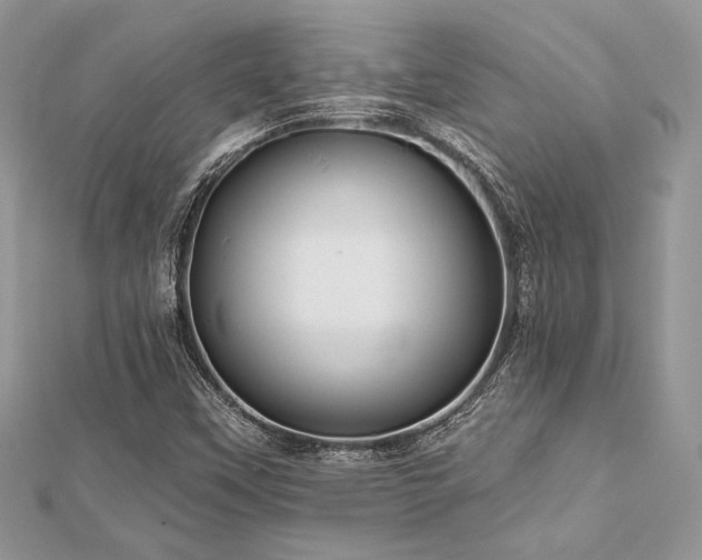 X0000112821451200908211156