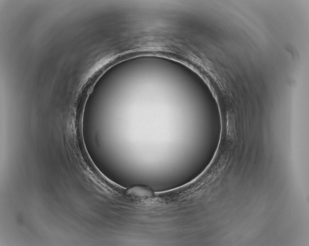 X0000112821452200908211156