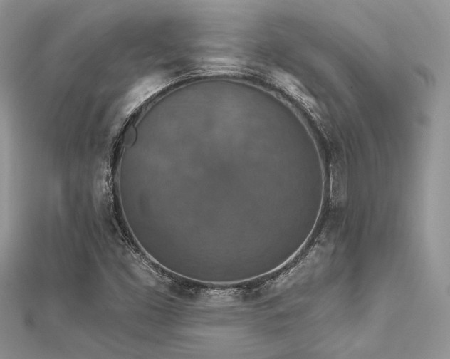 X0000112821453200908211156