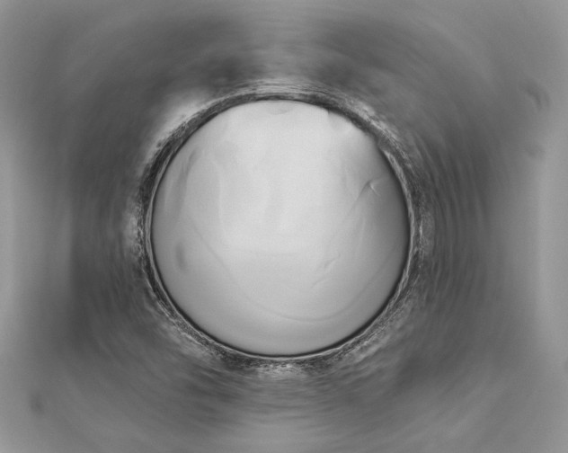 X0000112821454200908211156