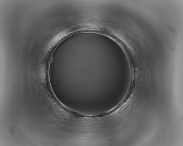 X0000112821455200908211156