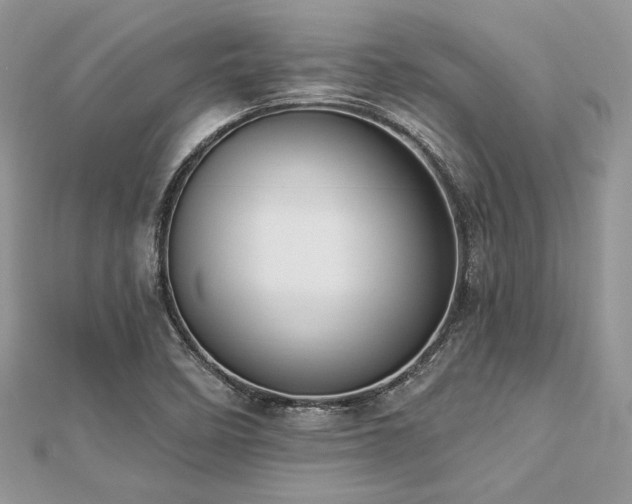 X0000112821458200908211155