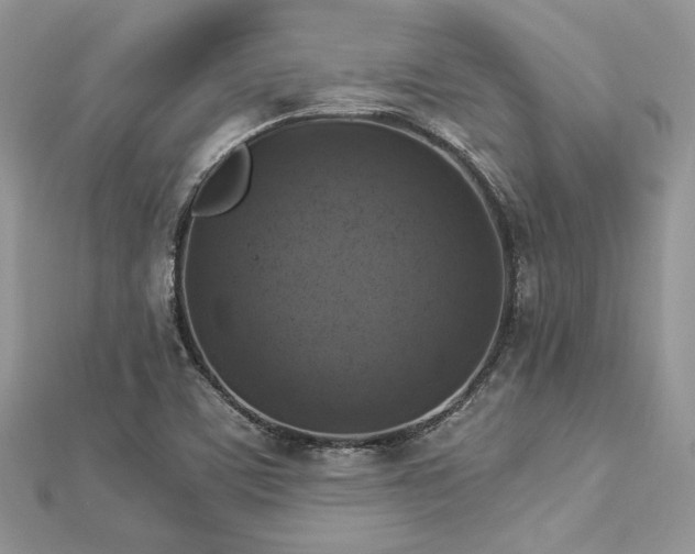 X0000112821459200908211155