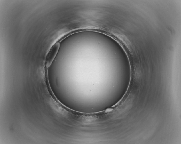 X0000112821460200908211155