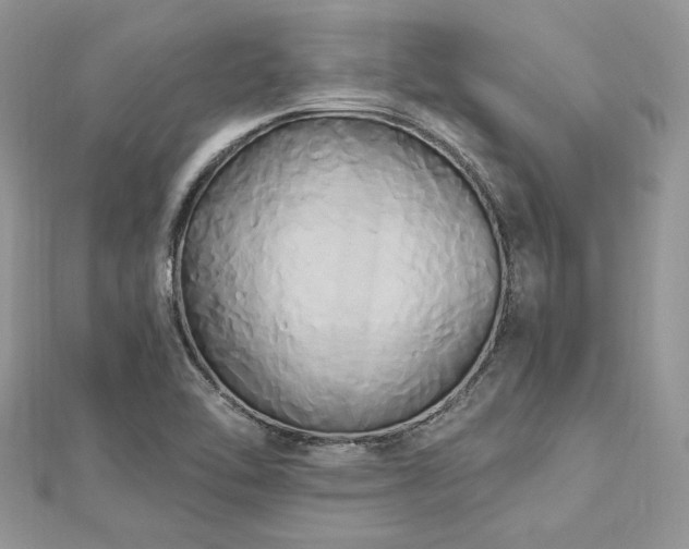 X0000112821462200908211155